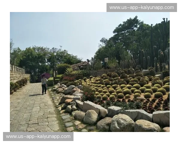 巅峰之上的红蓝交响：回望2008，五棵松那场永远沸腾的龙美大战